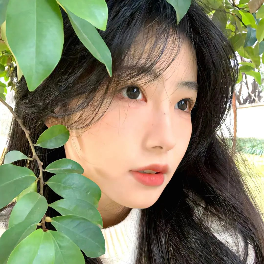 敌后便衣队传奇