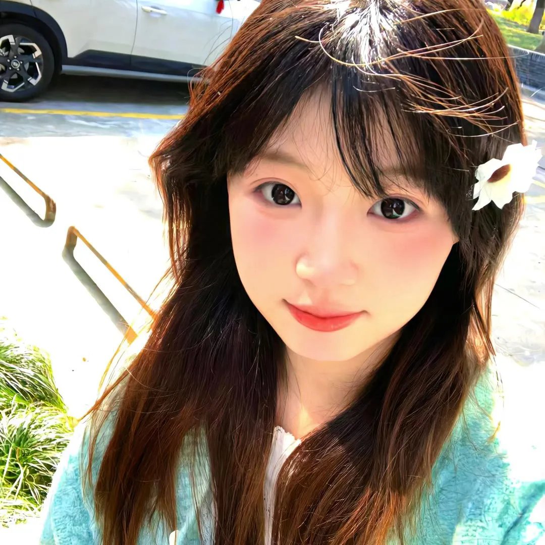 寒鸦情深